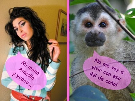 Amy Winehouse: no sin mi mono