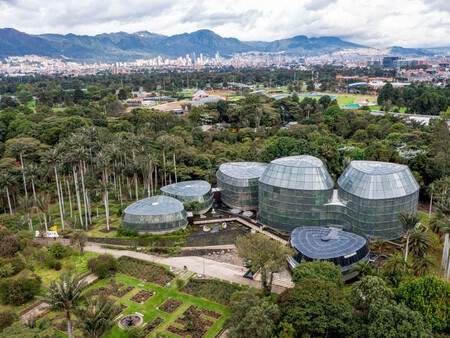 Jardin Botanico Navidad 3