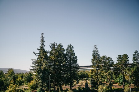 Localizando el talento alrededor del mundo: Apple se expande más allá de Silicon Valley para favorecer la contratación de personal