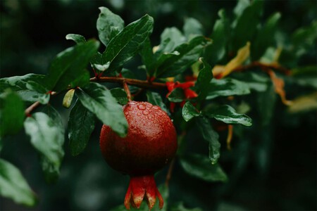 Pexels Shamil Muzheidov 949294232 30434129