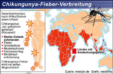 Cuidado con la fiebre Chikungunya