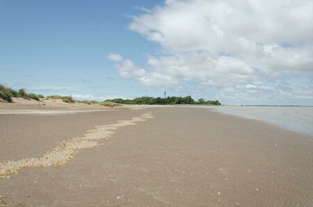 Las playas argentinas a veces están salpicadas de orbes gigantes y nacarados pero eso es una mala noticia a pesar de su belleza
