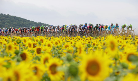 Ciclismo a 54 km/h sin pedalear: la ciencia que explica las propiedades aerodinámicas del pelotón