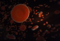 Una niña se recupera de un cáncer cerebral gracias a las células madre de su cordón umbilical