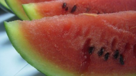 Cinco alimentos refrescantes para este verano