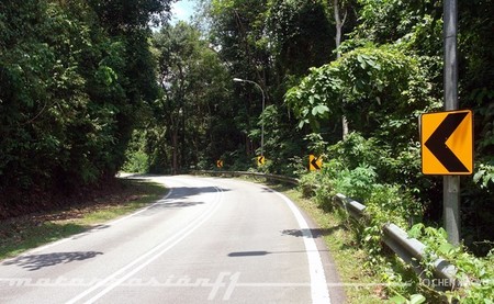 Thomson Road Circuit - The Snakes
