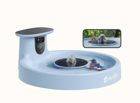 Captura De Pantalla 2025 01 12 A Las 12 05 48