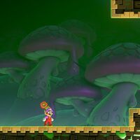 Excavación final: Ruinas ponzoñosas al 100% en Super Mario Bros. Wonder