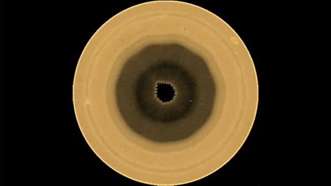 Decagono Polo Sur Saturno