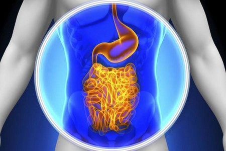 Dieta FODMAPs: ¿realmente vale la pena que la pongas en práctica?