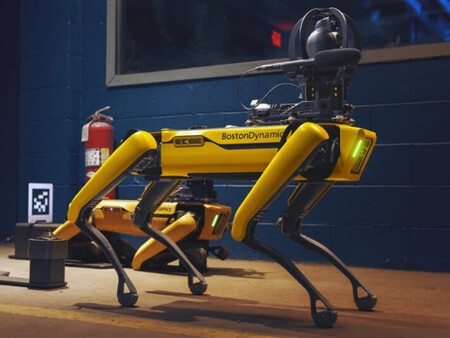 Roboperro Boston 2