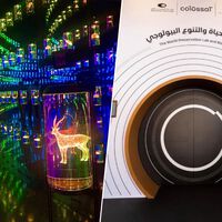 La empresa que está resucitando al mamut está creando el Arca de Noé del siglo XXI. Y lo está haciendo en Dubái, claro