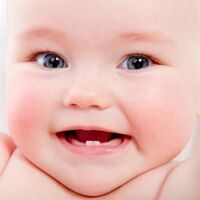 Sí, hay que cepillar los dientes del bebé desde que sale el primero 