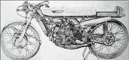 Suzuki 1 2024