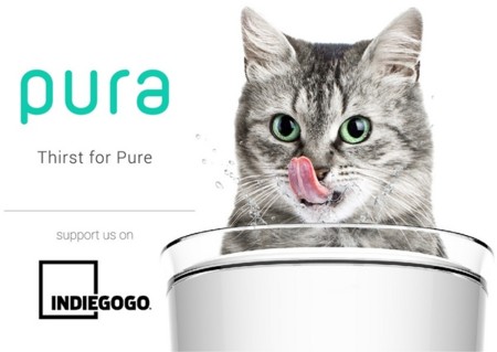 Pura es un bebedero inteligente para gatos que cuantifica el agua consumida