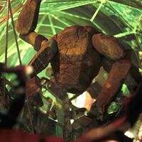 El público no estaba preparado para esta película de ciencia ficción, pero ya lleva más de 330 millones de dólares en taquilla en dos semanas  