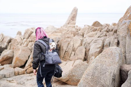 Lo que no pueden faltar en tu mochila cuando vas a la playa con tu perro