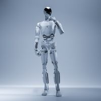 Tesla lleva años construyendo el Optimus. China acaba de presentarse con quince empresas y las fábricas ya montadas