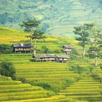 Camboya quiere que vayan los turistas... pero con un depósito previo de 2.600€