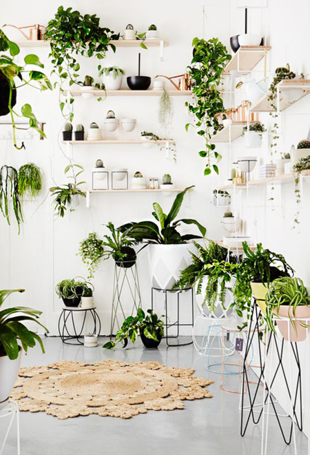 17 ideas para decorar tu sala de estar con plantas en esta primavera