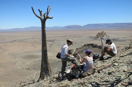 El arrecife más antiguo ha sido descubierto en Namibia
