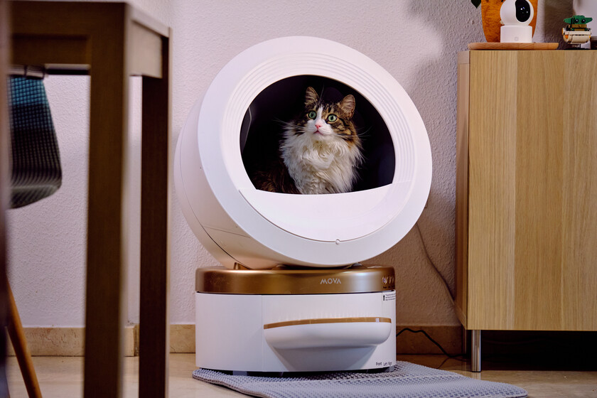 Un arenero automático para gato que ha convencido a su dueño
