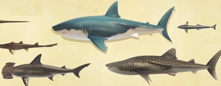 Guía Animal Crossing New Horizons: cómo pescar tiburones