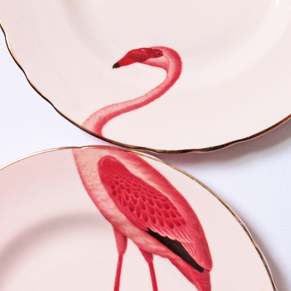 Foto de Yvonne Ellen (22/28)