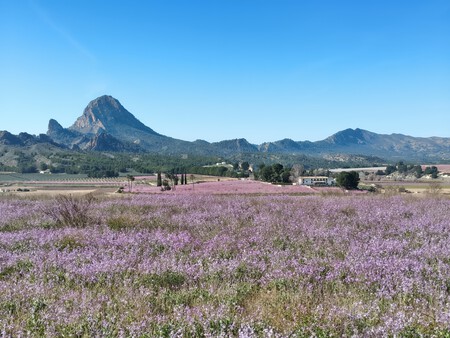 Img 20260222 113932129