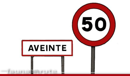 Esas carreteras en las que uno no sabe muy bien a qué atenerse