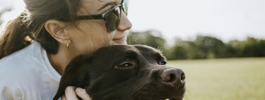 O cachorro dele tinha câncer, os veterinários não tinham soluções, e ele encontrou uma vacina de mRNA em outro lugar: ChatGPT 