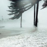 Mercedes y Volvo cierran plantas ante la llegada del huracán Florence 