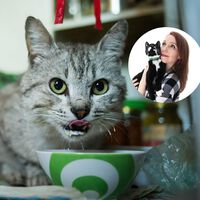 Julia Henning, especialista felina: "No les des leche a los gatos. No la necesitan, les puede causar más daño que placer"