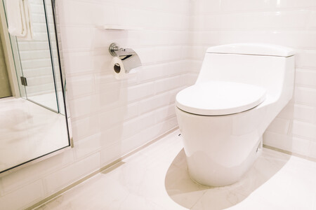 Inodoros De Doble Descarga Mexico Como Funciona