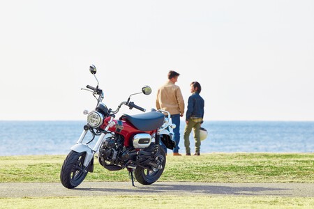 Honda St125 Dax 2022 Minimoto 002