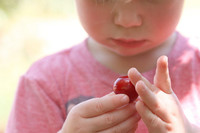 Vitaminas que no deben faltar en la mesa de tu niño en verano