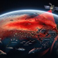 O veredito da NASA sobre o El Niño: imagens de satélite revelam como o fenômeno já começou a sufocar a vida marinha no Pacífico 