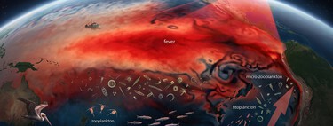 O veredito da NASA sobre o El Niño: imagens de satélite revelam como o fenômeno já começou a sufocar a vida marinha no Pacífico 