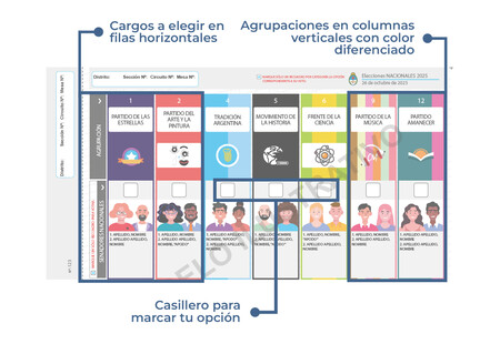 Partes De La Bup