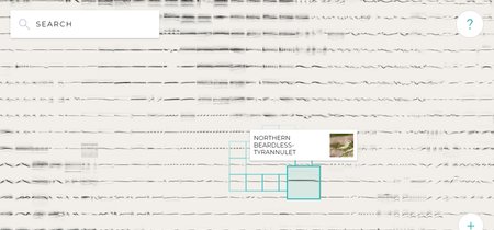 Esta web te permite reproducir sonidos de 14.000 aves perfectamente ordenados mediante Machine Learning