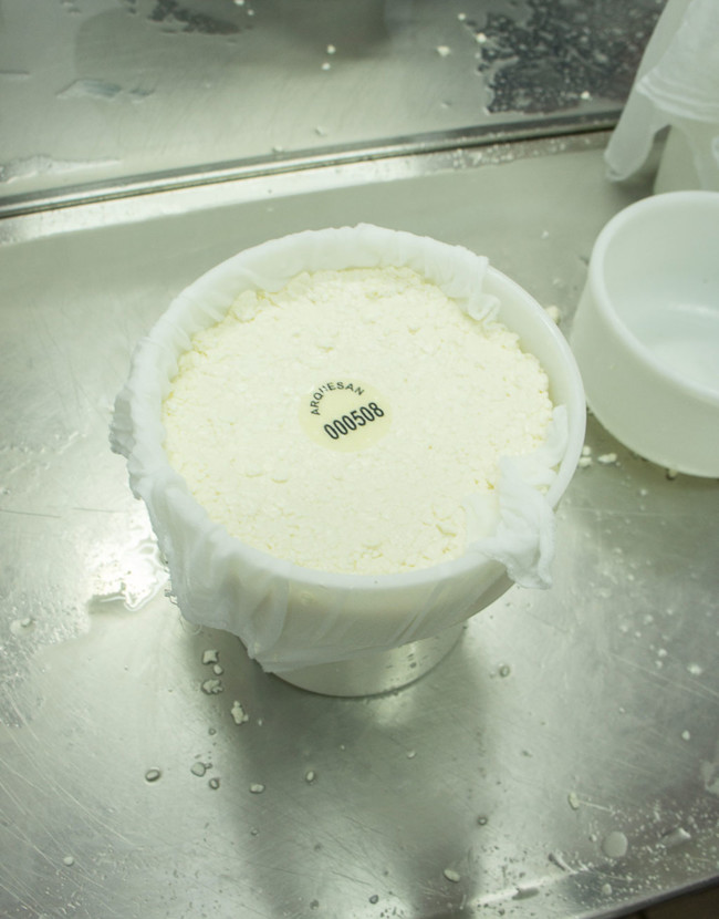 ¿Cómo se hace y cómo cocinar con el queso tetilla el gallego más