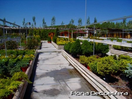 Diario de a bordo: de visita en el vivero