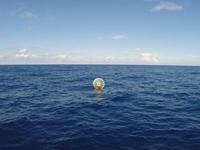 De Miami a Bermudas corriendo en esfera de plástico
