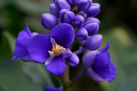 Photo 1710548712568 5619bda1ffcd