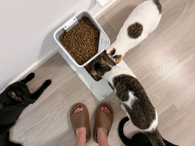 Xiaomi Smart Pet Food Feeder