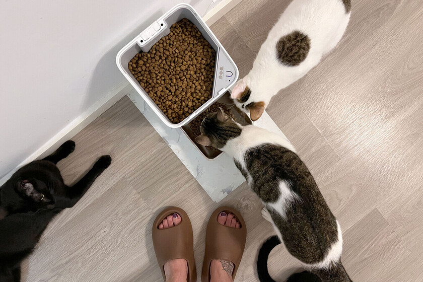 Xiaomi Smart Pet Food Feeder