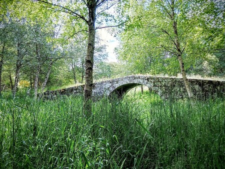 Bridge 1561688 1280