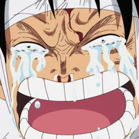 Cuando Eiichiro Oda dejó de lado One Piece por estar enganchado a uno de los mangas más tristes de los últimos años: "Es tan bueno que no puedes hacer otra cosa"