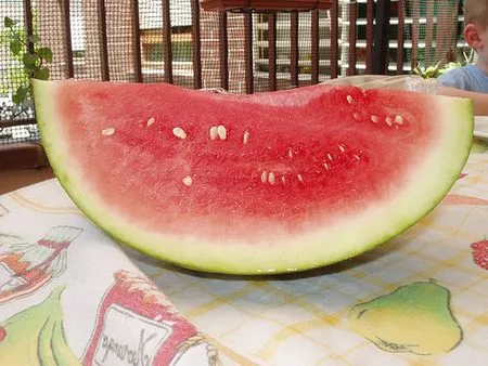 Este verano, come mucha sandía