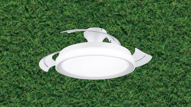 Philips Bliss